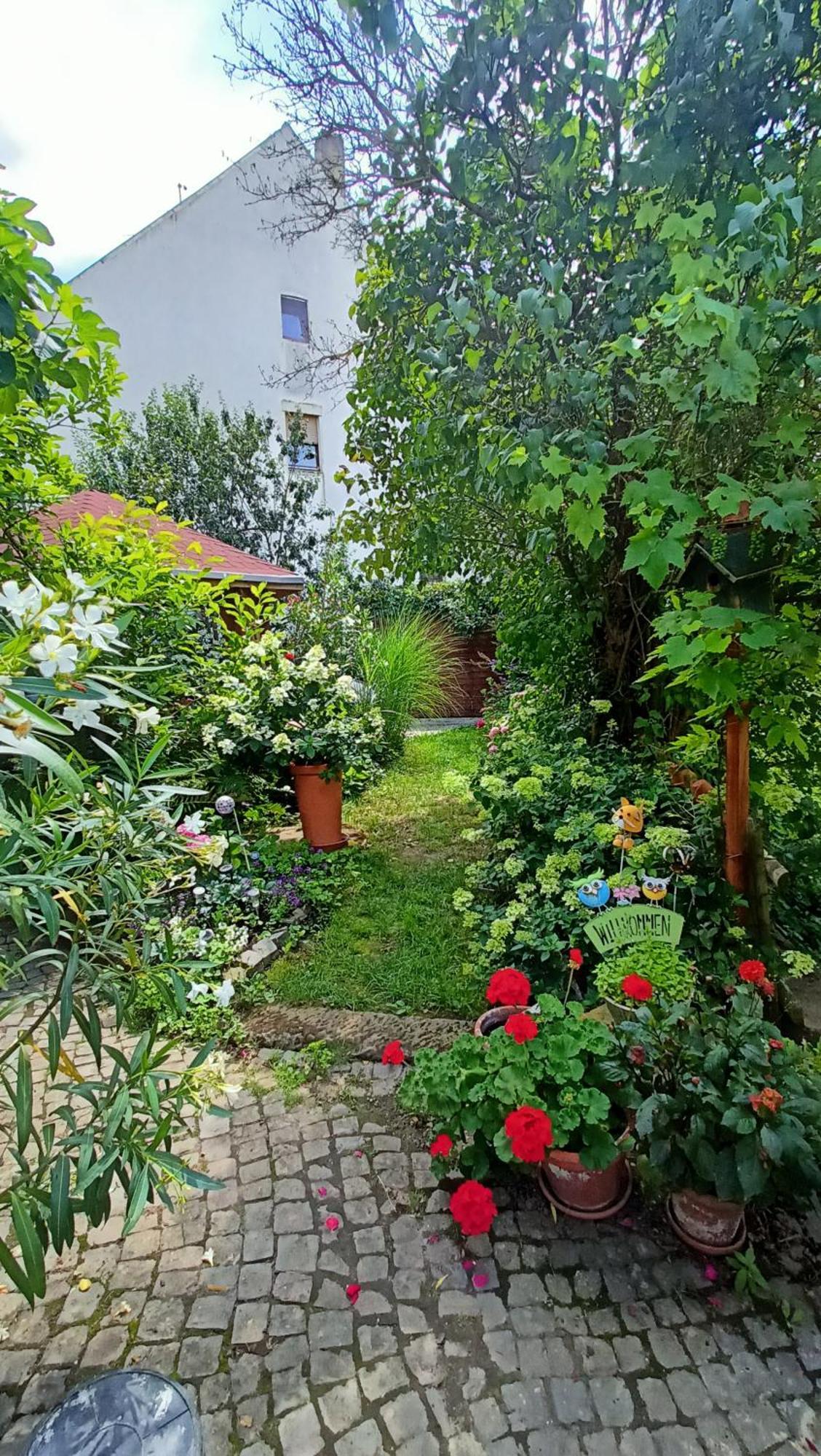 Urlaub Mit Charme In Der Kleinsten Stadt Der Pfalz. Obermoschel 外观 照片